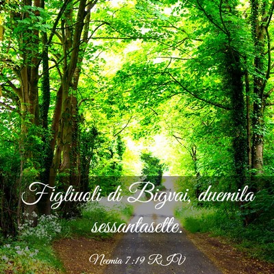 Picture 03 - Neemia 7:19 RIV - Figliuoli di Bigvai, duemila - Bible Verse Picture