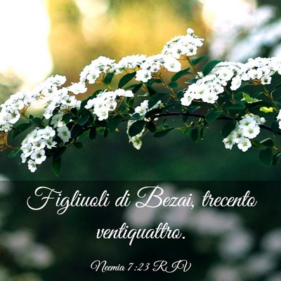 Picture 03 - Neemia 7:23 RIV - Figliuoli di Bezai, trecento - Bible Verse Picture