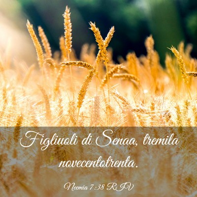 Picture 03 - Neemia 7:38 RIV - Figliuoli di Senaa, tremila - Bible Verse Picture