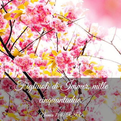 Picture 03 - Neemia 7:40 RIV - Figliuoli di Immer, mille - Bible Verse Picture