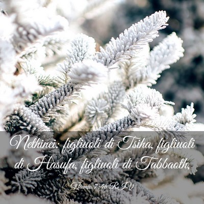 Picture 03 - Neemia 7:46 RIV - Nethinei: figliuoli di Tsiha, figliuoli di - Bible Verse Picture