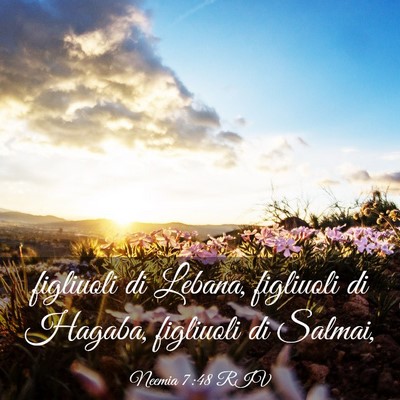 Picture 03 - Neemia 7:48 RIV - figliuoli di Lebana, figliuoli di Hagaba, - Bible Verse Picture
