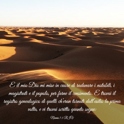 Picture 03 - Neemia 7:5 RIV - E il mio Dio mi mise in cuore di radunare i - Bible Verse Picture
