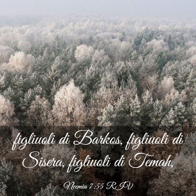 Picture 03 - Neemia 7:55 RIV - figliuoli di Barkos, figliuoli di Sisera, - Bible Verse Picture