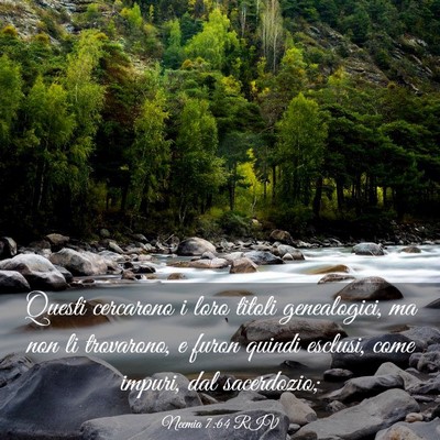 Picture 03 - Neemia 7:64 RIV - Questi cercarono i loro titoli genealogici, ma - Bible Verse Picture
