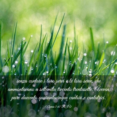 Picture 03 - Neemia 7:67 RIV - senza contare i loro servi e le loro serve, che - Bible Verse Picture