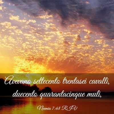 Picture 03 - Neemia 7:68 RIV - Avevano settecento trentasei cavalli, duecento - Bible Verse Picture