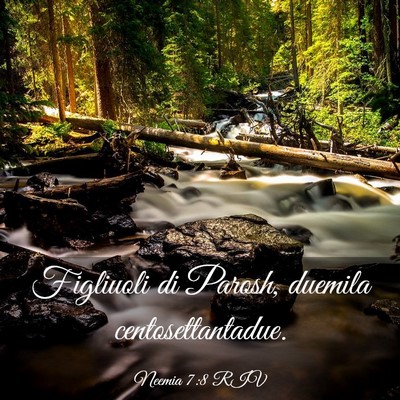 Picture 03 - Neemia 7:8 RIV - Figliuoli di Parosh, duemila - Bible Verse Picture