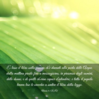 Picture 03 - Neemia 8:3 RIV - E lesse il libro sulla piazza ch’è davanti - Bible Verse Picture