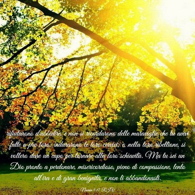 Picture 03 - Neemia 9:17 RIV - rifiutarono d’ubbidire, e non si ricordarono - Bible Verse Picture