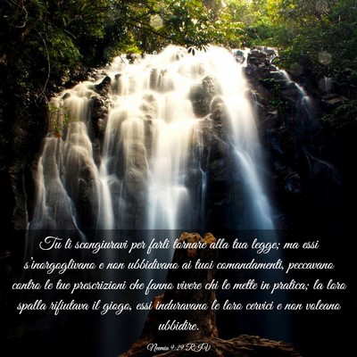 Picture 03 - Neemia 9:29 RIV - Tu li scongiuravi per farli tornare alla tua - Bible Verse Picture