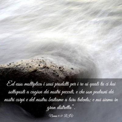 Picture 03 - Neemia 9:37 RIV - Ed esso moltiplica i suoi prodotti per i re ai - Bible Verse Picture