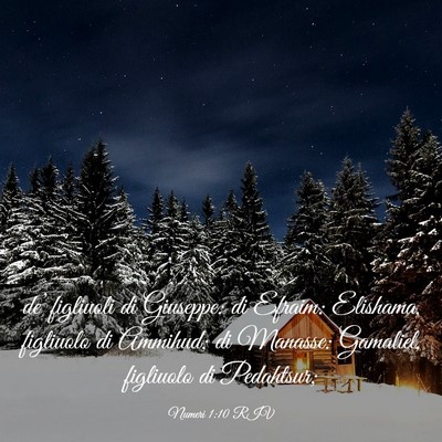 Picture 03 - Numeri 1:10 RIV - de’ figliuoli di Giuseppe: di Efraim: Elishama, - Bible Verse Picture