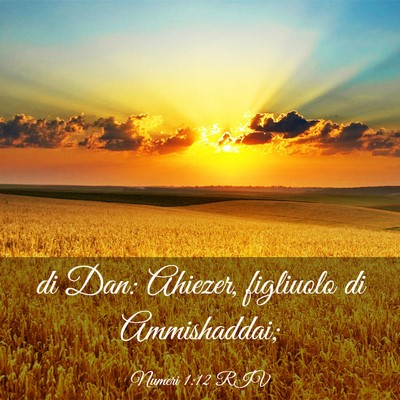 Picture 03 - Numeri 1:12 RIV - di Dan: Ahiezer, figliuolo di - Bible Verse Picture