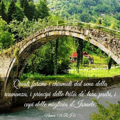 Picture 03 - Numeri 1:16 RIV - Questi furono i chiamati dal seno della raunanza, - Bible Verse Picture