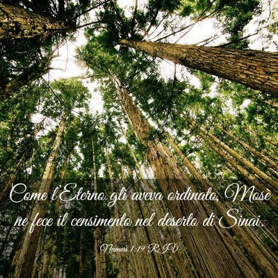 Picture 03 - Numeri 1:19 RIV - Come l’Eterno gli aveva ordinato, Mosè ne fece - Bible Verse Picture