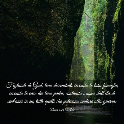 Picture 03 - Numeri 1:24 RIV - Figliuoli di Gad, loro discendenti secondo le - Bible Verse Picture