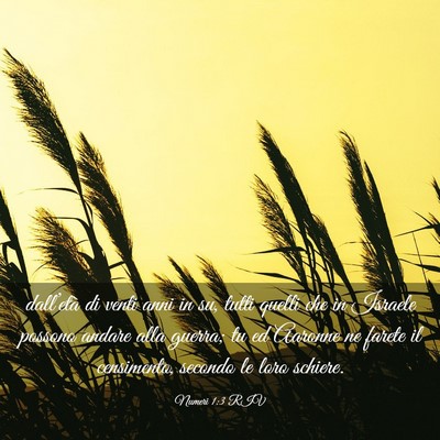 Picture 03 - Numeri 1:3 RIV - dall’età di venti anni in su, tutti quelli che - Bible Verse Picture