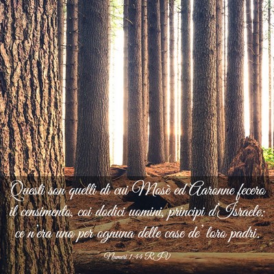 Picture 03 - Numeri 1:44 RIV - Questi son quelli di cui Mosè ed Aaronne fecero - Bible Verse Picture