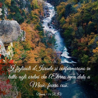 Picture 03 - Numeri 1:54 RIV - I figliuoli d’Israele si conformarono in tutto - Bible Verse Picture