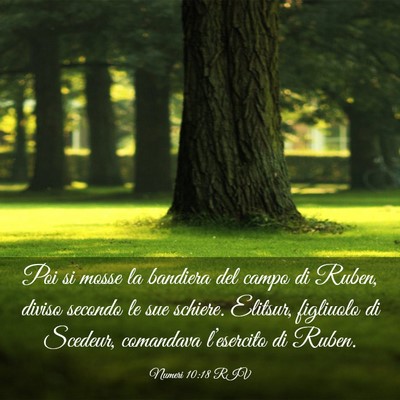 Picture 03 - Numeri 10:18 RIV - Poi si mosse la bandiera del campo di Ruben, - Bible Verse Picture