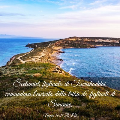 Picture 03 - Numeri 10:19 RIV - Scelumiel, figliuolo di Tsurishaddai, comandava - Bible Verse Picture