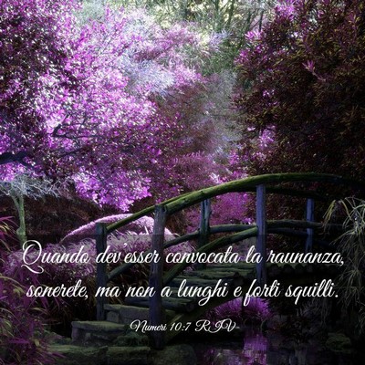 Picture 03 - Numeri 10:7 RIV - Quando dev’esser convocata la raunanza, - Bible Verse Picture