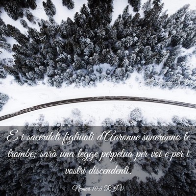 Picture 03 - Numeri 10:8 RIV - E i sacerdoti figliuoli d’Aaronne soneranno le - Bible Verse Picture