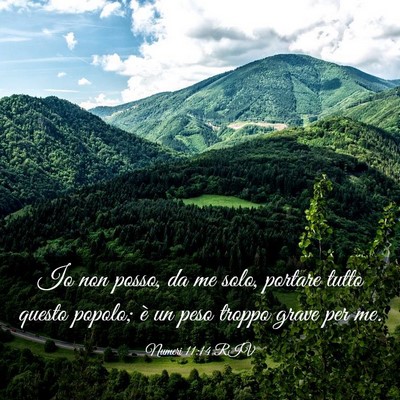 Picture 03 - Numeri 11:14 RIV - Io non posso, da me solo, portare tutto questo - Bible Verse Picture