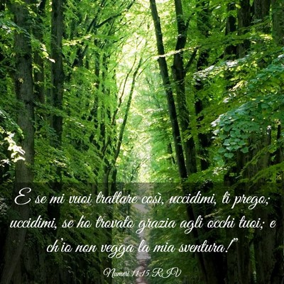 Picture 03 - Numeri 11:15 RIV - E se mi vuoi trattare così, uccidimi, ti prego; - Bible Verse Picture