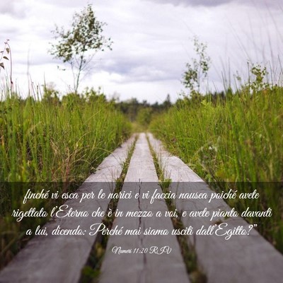 Picture 03 - Numeri 11:20 RIV - finché vi esca per le narici e vi faccia nausea - Bible Verse Picture