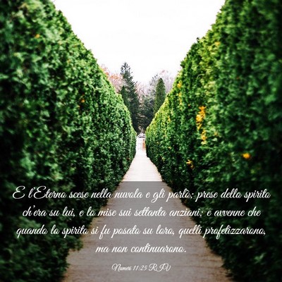 Picture 03 - Numeri 11:25 RIV - E l’Eterno scese nella nuvola e gli parlò; - Bible Verse Picture