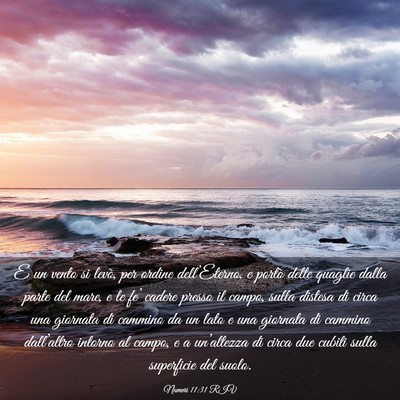 Picture 03 - Numeri 11:31 RIV - E un vento si levò, per ordine dell’Eterno, e - Bible Verse Picture