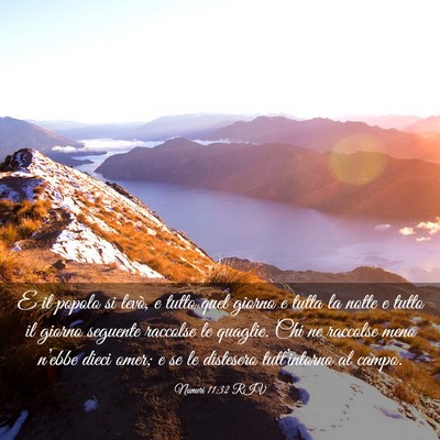 Picture 03 - Numeri 11:32 RIV - E il popolo si levò, e tutto quel giorno e tutta - Bible Verse Picture