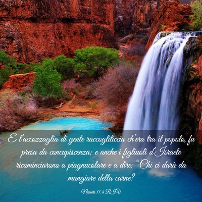 Picture 03 - Numeri 11:4 RIV - E l’accozzaglia di gente raccogliticcia - Bible Verse Picture
