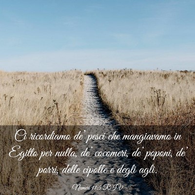 Picture 03 - Numeri 11:5 RIV - Ci ricordiamo de’ pesci che mangiavamo in - Bible Verse Picture