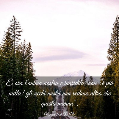 Picture 03 - Numeri 11:6 RIV - E ora l’anima nostra e inaridita; non c’è - Bible Verse Picture