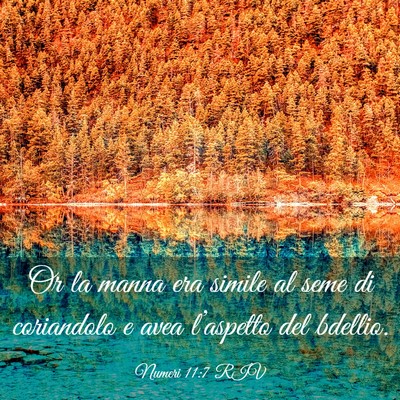 Picture 03 - Numeri 11:7 RIV - Or la manna era simile al seme di coriandolo e - Bible Verse Picture