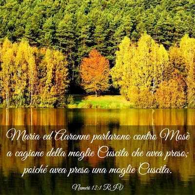 Picture 03 - Numeri 12:1 RIV - Maria ed Aaronne parlarono contro Mosè a cagione - Bible Verse Picture
