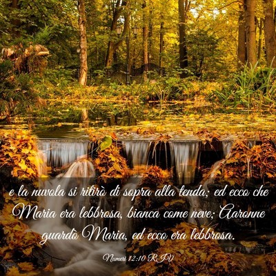 Picture 03 - Numeri 12:10 RIV - e la nuvola si ritirò di sopra alla tenda; ed - Bible Verse Picture