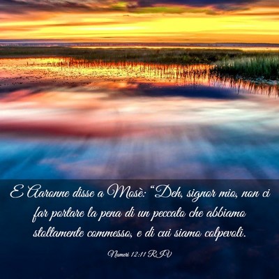 Picture 03 - Numeri 12:11 RIV - E Aaronne disse a Mosè: “Deh, signor mio, non - Bible Verse Picture