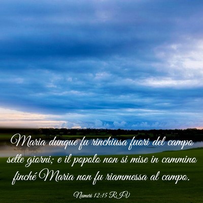 Picture 03 - Numeri 12:15 RIV - Maria dunque fu rinchiusa fuori del campo sette - Bible Verse Picture