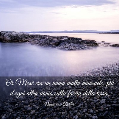 Picture 03 - Numeri 12:3 RIV - Or Mosè era un uomo molto mansueto, più - Bible Verse Picture