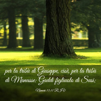 Picture 03 - Numeri 13:11 RIV - per la tribù di Giuseppe, cioè, per la tribù - Bible Verse Picture