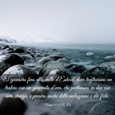 Picture 03 - Numeri 13:23 RIV - E giunsero fino alla valle d’Eshcol, dove - Bible Verse Picture