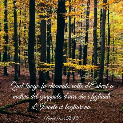 Picture 03 - Numeri 13:24 RIV - Quel luogo fu chiamato valle d’Eshcol a motivo - Bible Verse Picture