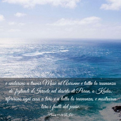 Picture 03 - Numeri 13:26 RIV - e andarono a trovar Mosè ed Aaronne e tutta la - Bible Verse Picture