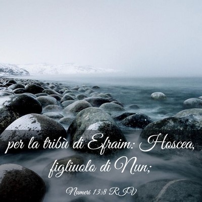 Picture 03 - Numeri 13:8 RIV - per la tribù di Efraim: Hoscea, figliuolo di - Bible Verse Picture