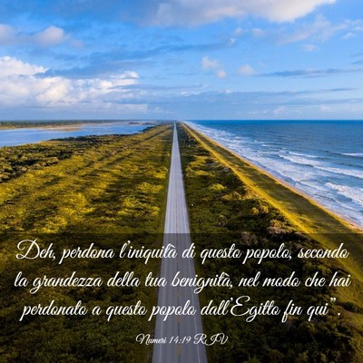 Picture 03 - Numeri 14:19 RIV - Deh, perdona l’iniquità di questo popolo, - Bible Verse Picture
