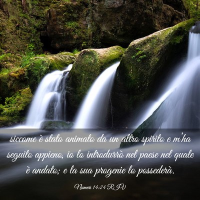 Picture 03 - Numeri 14:24 RIV - siccome è stato animato da un altro spirito e - Bible Verse Picture